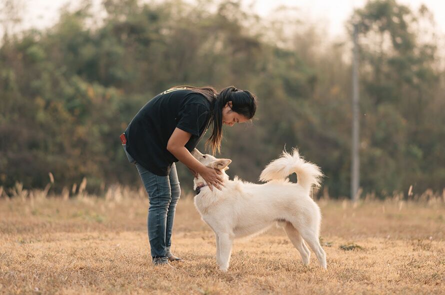 Woman pending down to pet dog