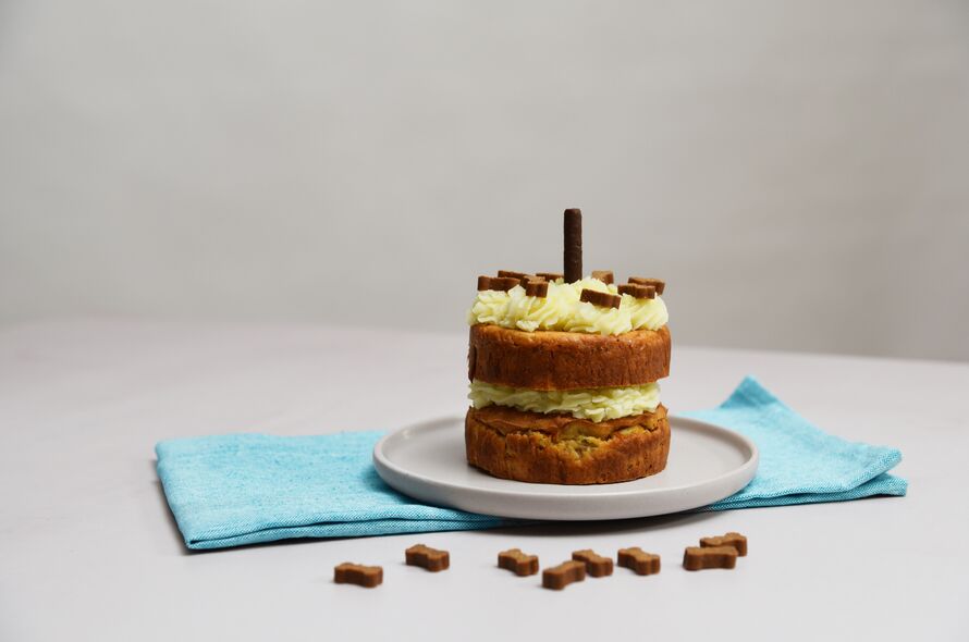 Small cake decorated with dog treats on a plate, on top of a blue tea towel